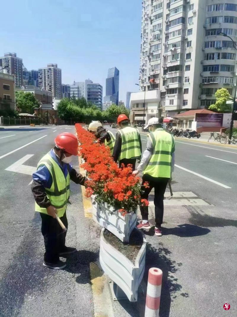 上海封城周记：赶在花开时解封？