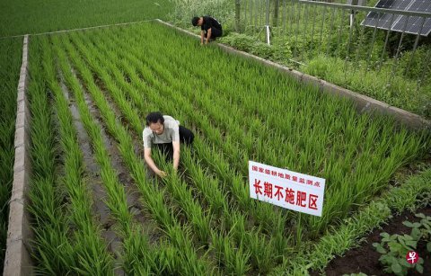 中国通过黑土地保护法 保障粮食与生态安全