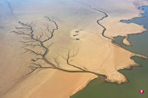 鄱阳湖进入 极枯水期