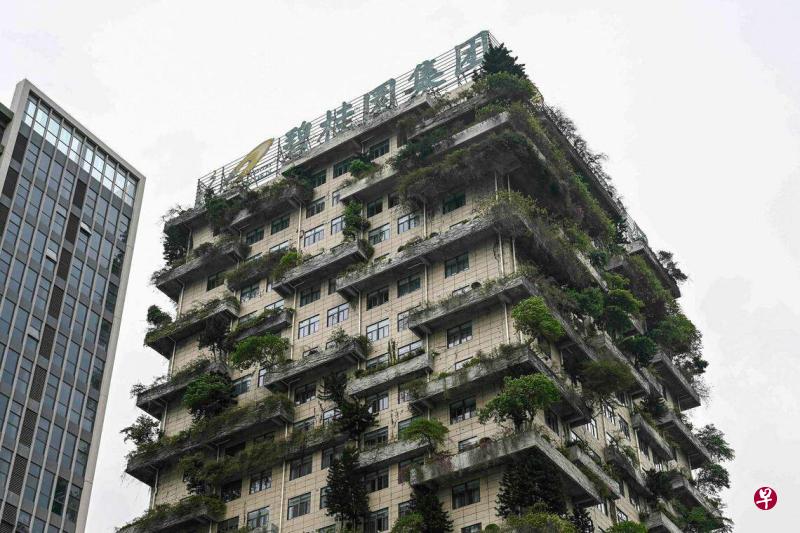 碧桂园中国境内11公司债券停牌 学者:重组前景不乐观