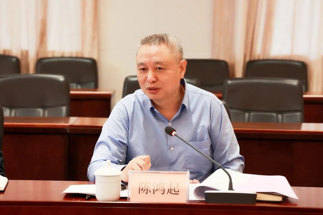 陈鸿起,被查