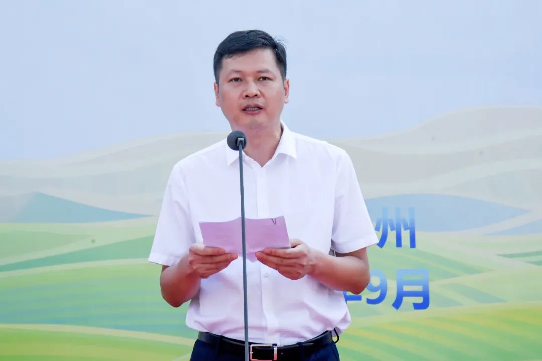 王笃波,履新职