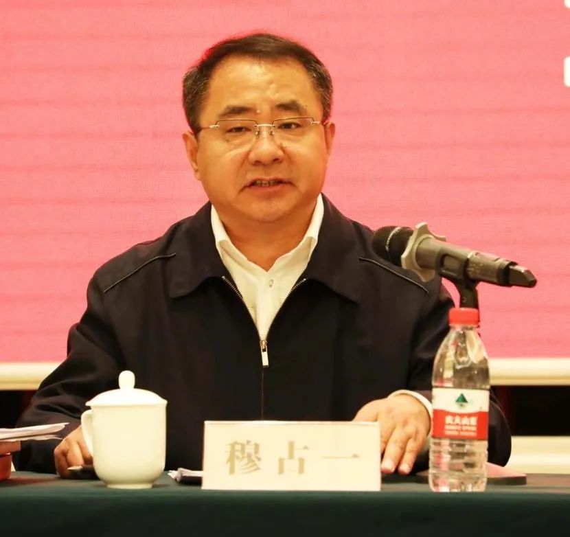 穆占一,被查