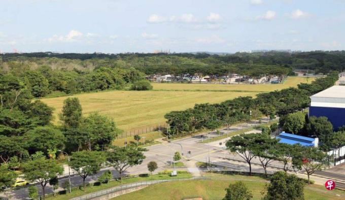 义顺新邦建多层车厂 可容纳500辆巴士