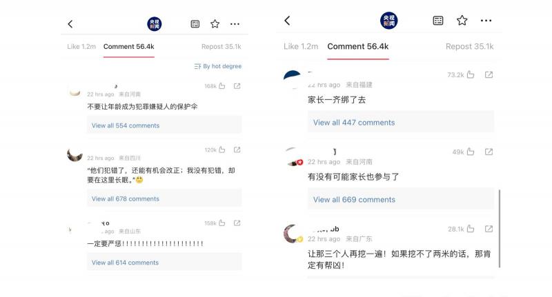 中国网民普遍认为应该对本案的三名嫌疑人严惩,甚至判处死刑。(微博截图)