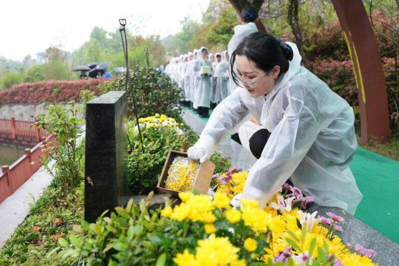 4月3日,2024年清明文化节骨灰撒散葬集中落葬仪式在湖南长沙明阳山福寿苑陵园举行。工作人员与逝者家属通过集体骨灰落葬的生态安葬方式,悼念逝者。图为工作人员将骨灰撒入安葬处。 (中新社)