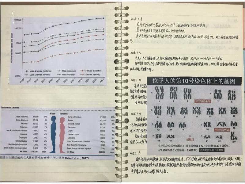 陈某某独立完成实验数据的分析,制成实验记录本。根据实验记录,他2018年1月9日获知基因概念,从小学生阶段直接进阶到研究水平,仅耗时五天。(互联网)