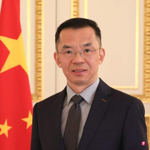 中国驻法大使卢沙野:台湾政权是中国版图中的叛乱政权