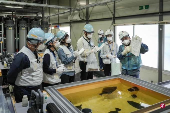 韩国:日本核处理水排海满一年 核辐射未超标