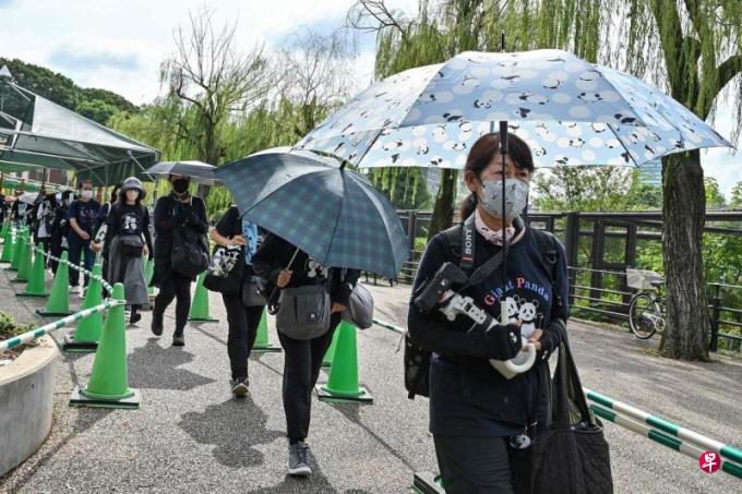 【图集】两只旅日大熊猫将返回中国 数千人排队告别