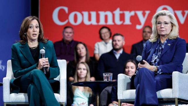 贺锦丽(Kamala Harris)和利兹·切尼(Liz Cheney)
