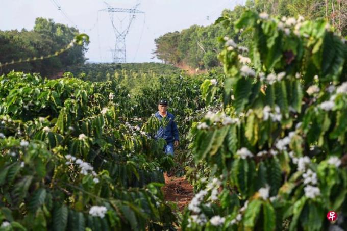 欧洲议会批准延期一年实施零毁林法