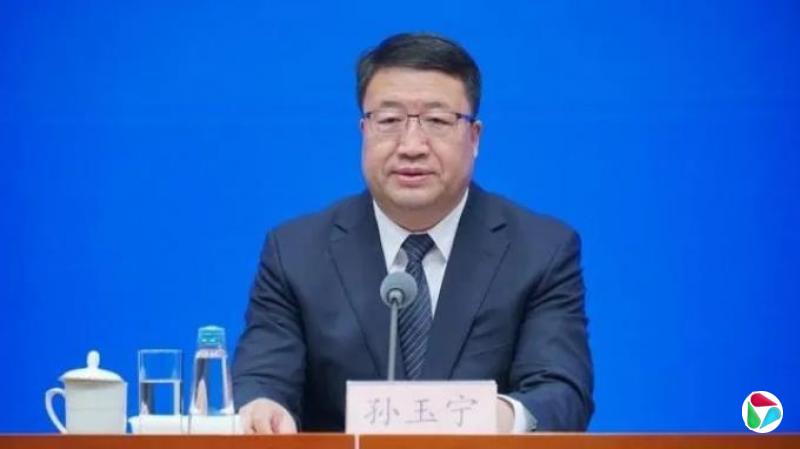 孙玉宁,被逮捕
