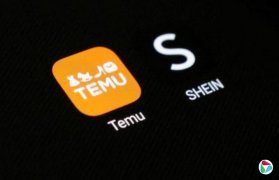 TemuϣǼ ֧