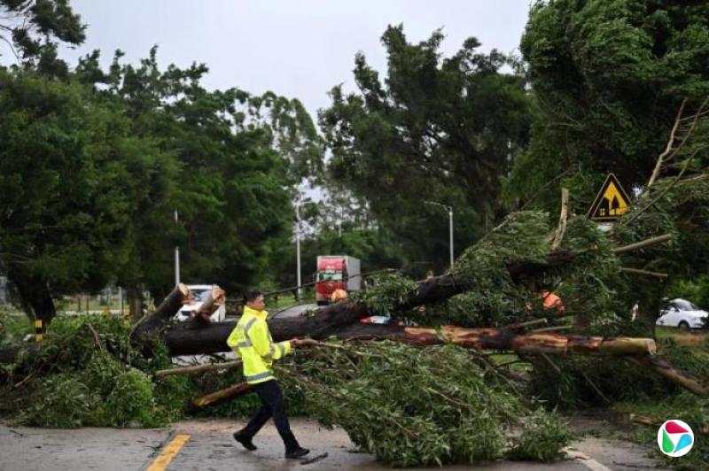 台风“韦帕”逼近 越南沿海进入紧急状态