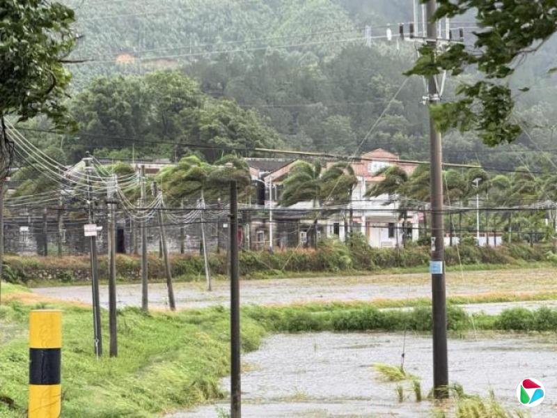 广东上半年GDP增长4.2% 低于全国水平
