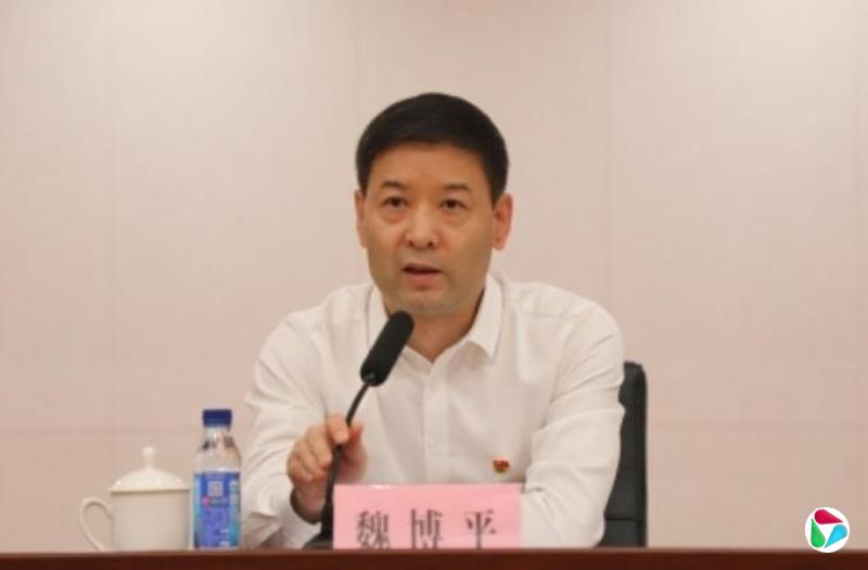 魏博平,已落马