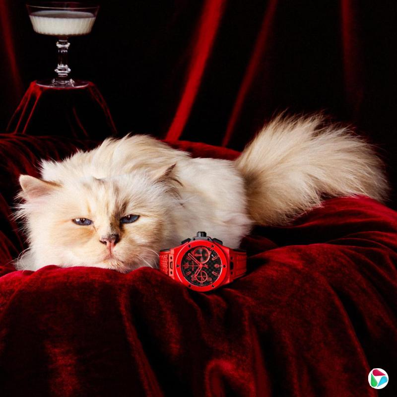 已故时尚大师卡尔·拉格斐的宠物猫,是宇舶Big Bang系列20周年庆最新广告大片主角。(宇舶提供)