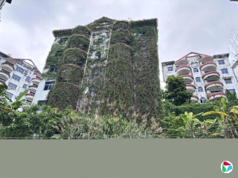 尹瑞麟:和AI就中国房地产前景分析作交流